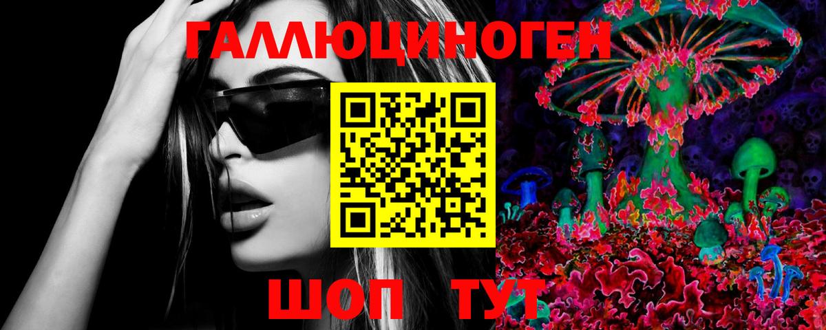 Псилоцибиновые грибы мицелий Сунжа