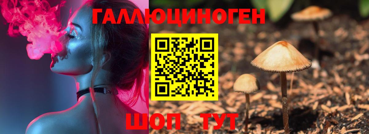 Сунжа  Галлюциногенные грибы Psilocybe  Вход с VPN  Галлюциногенные грибы Psilocybine cubensis 